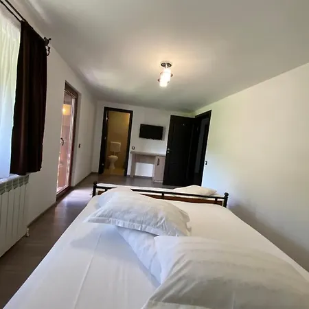 בית הארחה Pensiunea Casa Pancu