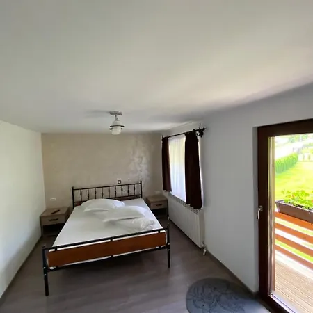 Pensiunea Casa Pancu בית הארחה