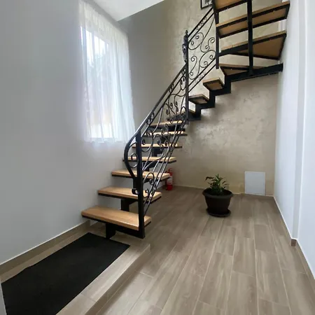 בית הארחה Pensiunea Casa Pancu