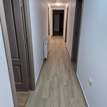 Pensiunea Casa Pancu בית הארחה *