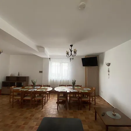 Pensiunea Casa Pancu *
