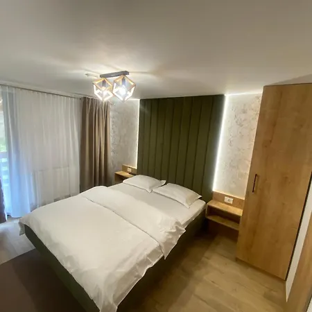 Pensiunea Casa Pancu *