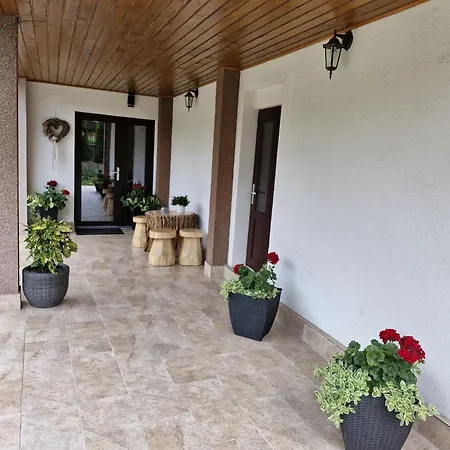 בית הארחה Pensiunea Casa Pancu Ceahlău