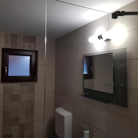 בית הארחה Pensiunea Casa Pancu *