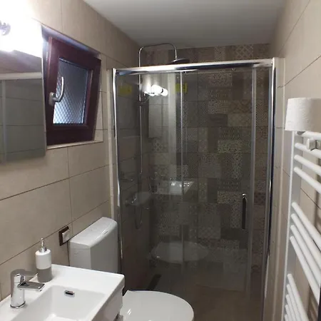 Pensiunea Casa Pancu בית הארחה *